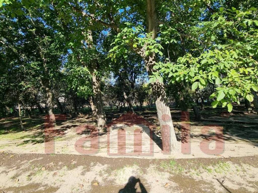Terreno a Avella in Via Santa Croce - Foto 3