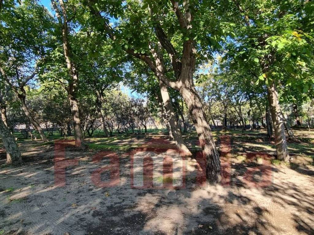 Terreno a Avella in Via Santa Croce - Foto 4