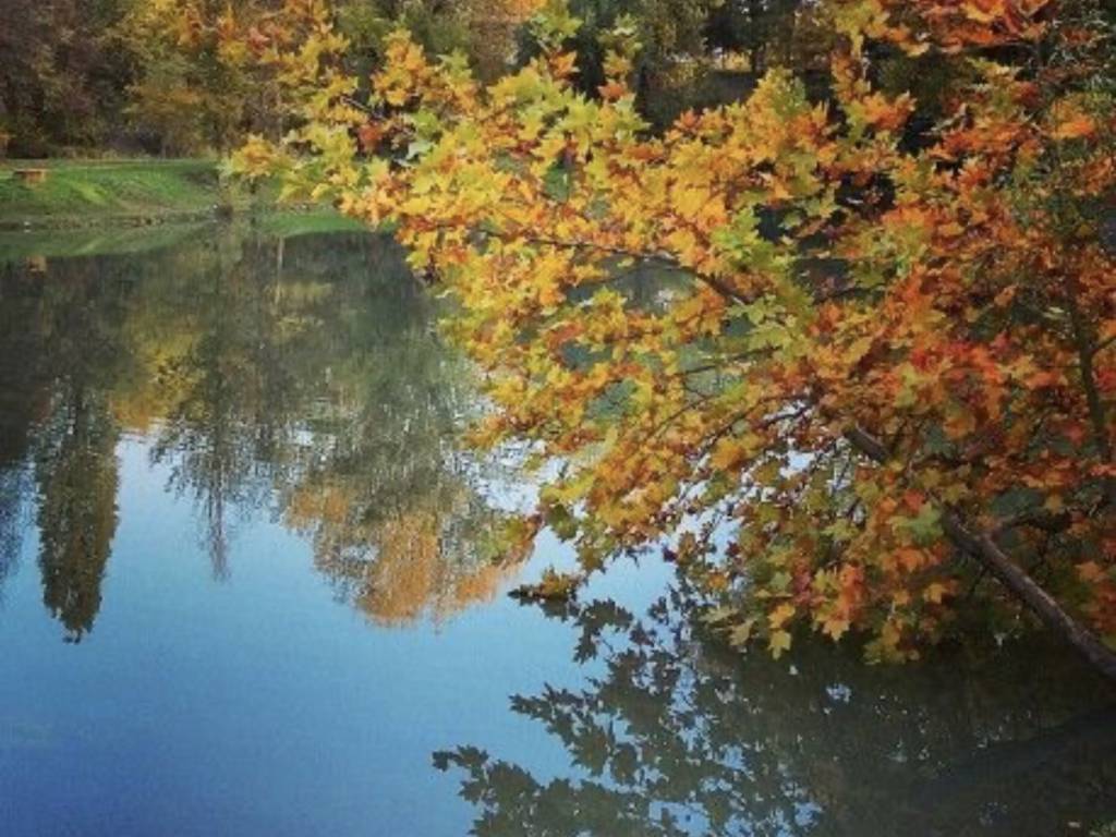 Immobile a Mogliano veneto in Via Terraglio - Foto 2