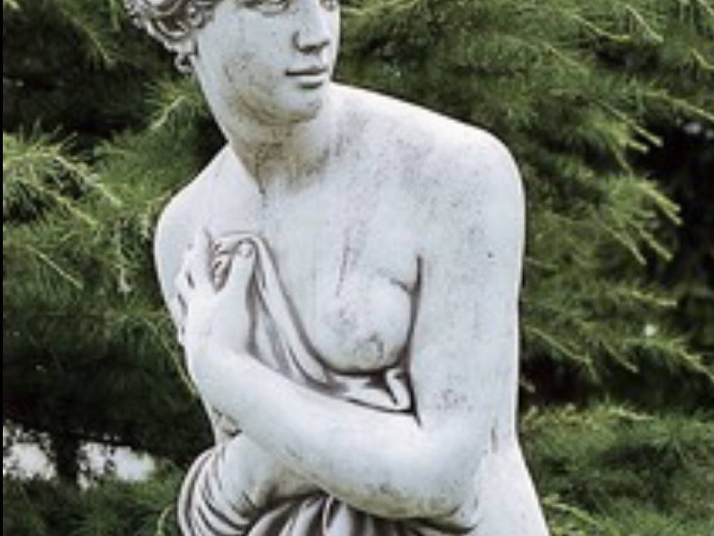 Immobile a Mogliano veneto in Via Terraglio - Foto 5