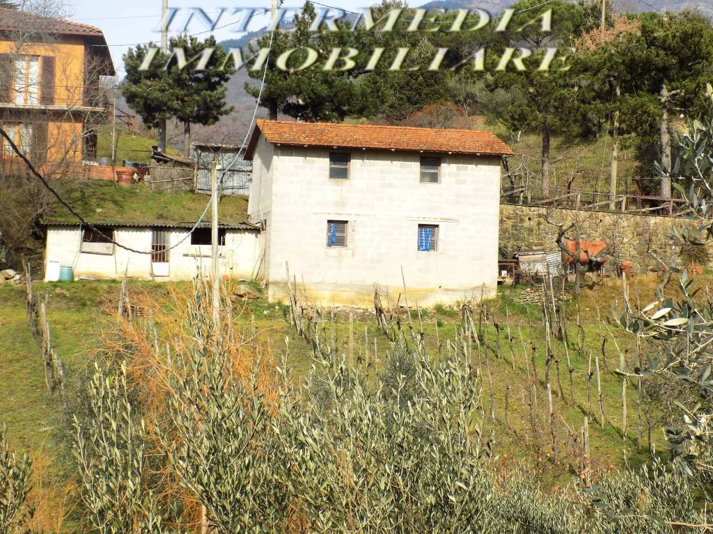 Rustico / casale a Loro ciuffenna in Strada Comunale di Sercognano - Foto 5