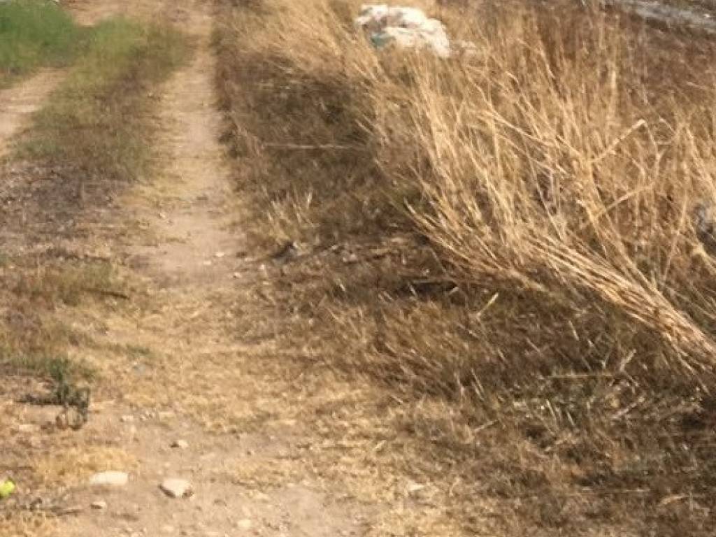 Terreno a Scicli - Foto 3