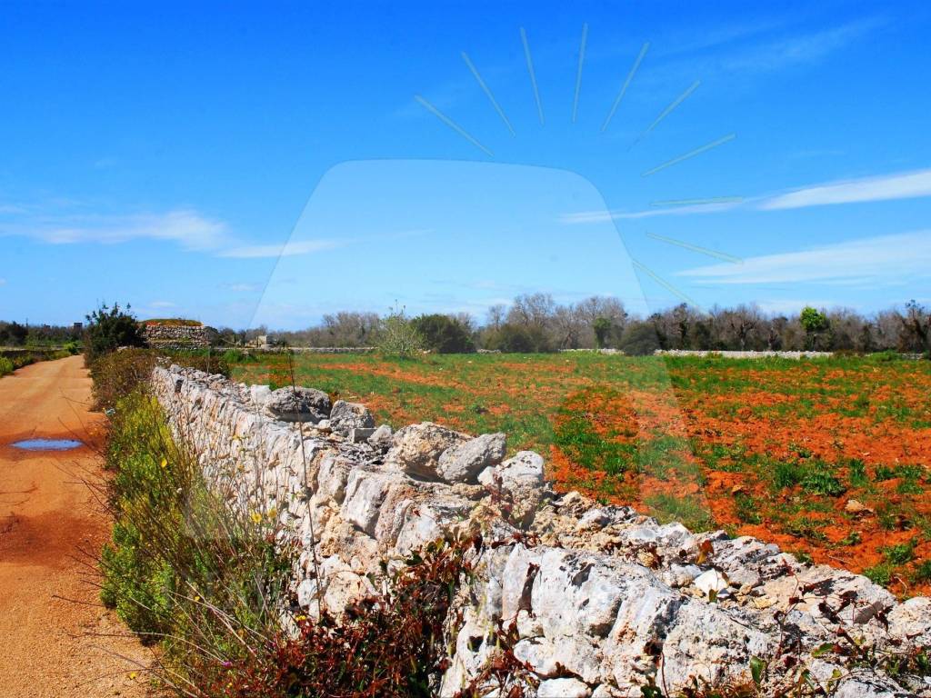 Terreno a Specchia in Strada Comunale Bortolone - Foto 3
