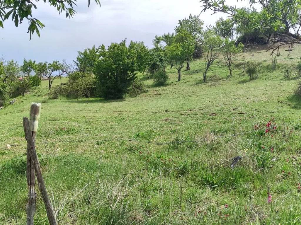Terreno a Troina in Via Goffredo Malaterra S.N.C. - Foto 3