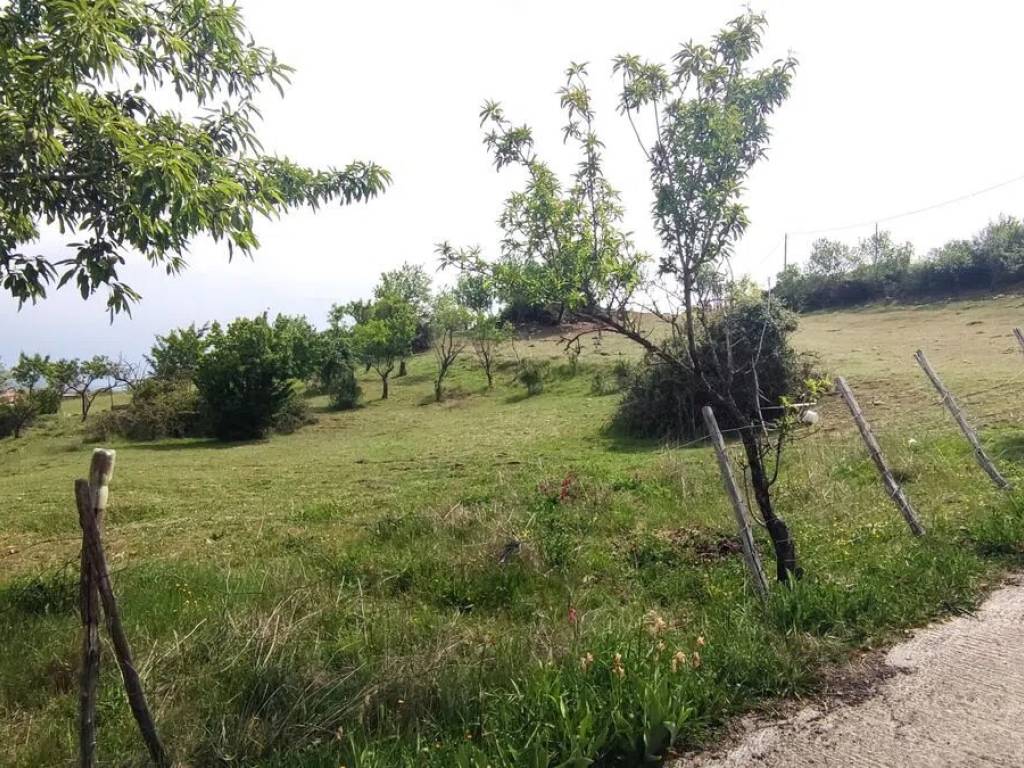 Terreno a Troina in Via Goffredo Malaterra S.N.C. - Foto 4