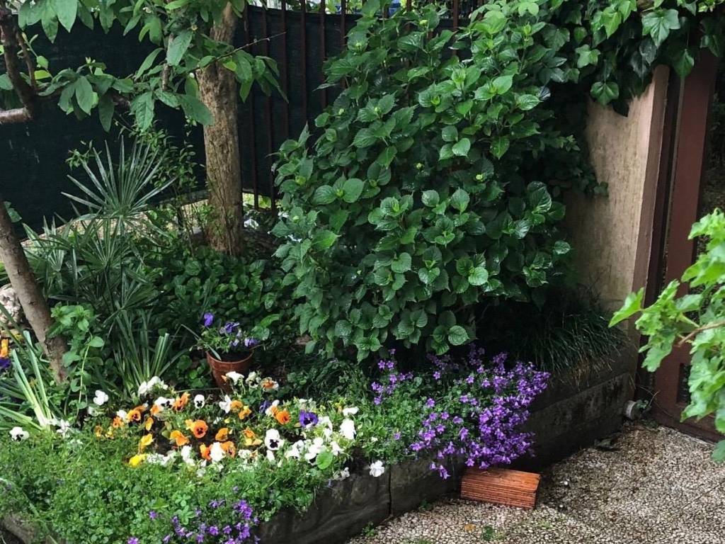 Villetta a schiera a Agrate brianza in Via Grazia Deledda - Foto 2