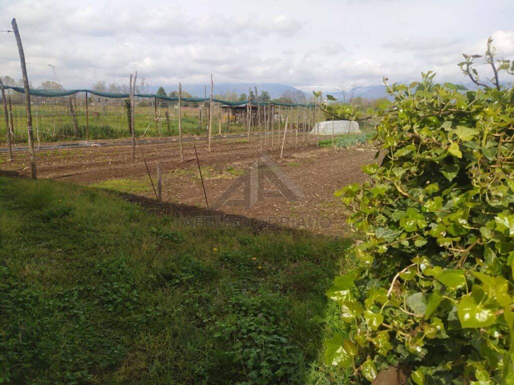 Rustico / casale a Rossano veneto in Via Roma - Foto 4