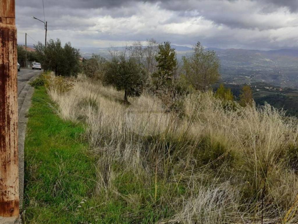 Terreno a Dipignano - Foto 3