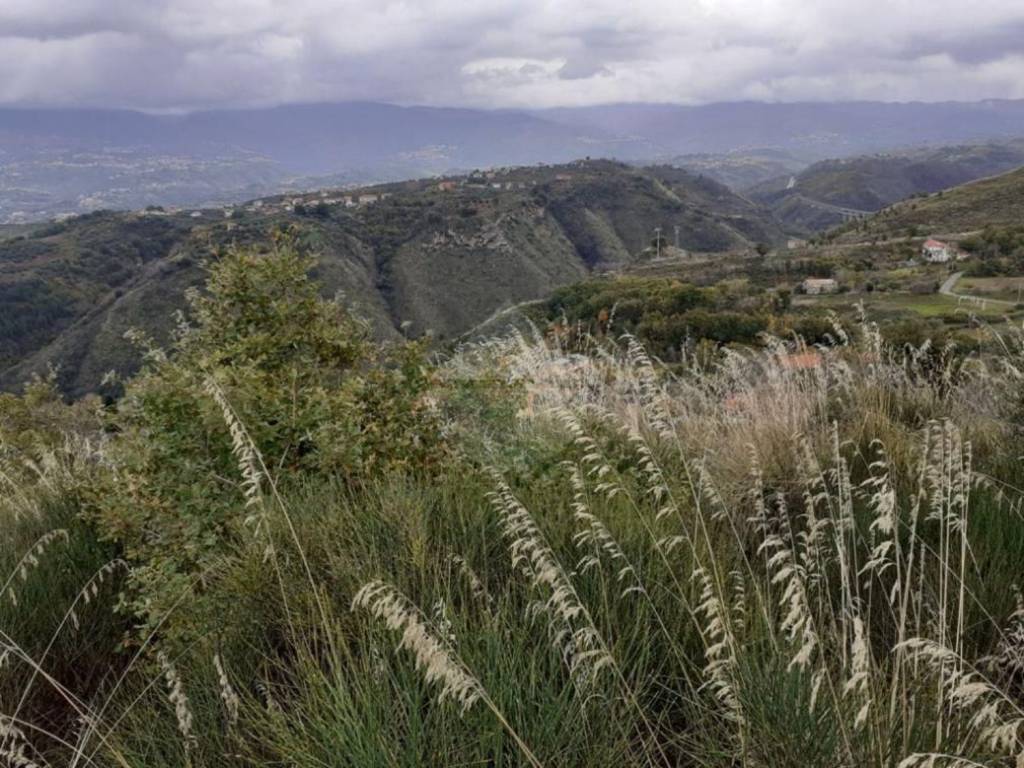 Terreno a Dipignano - Foto 5