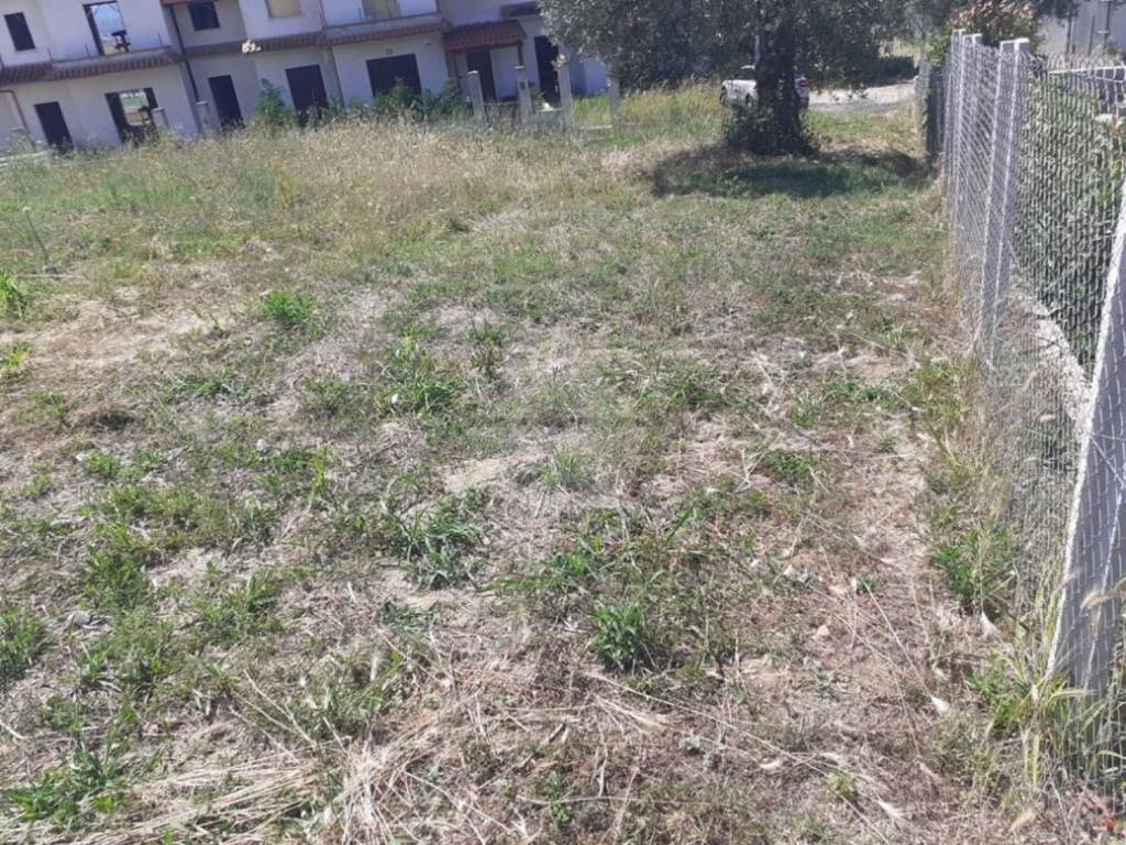 Terreno a Luzzi - Foto 3