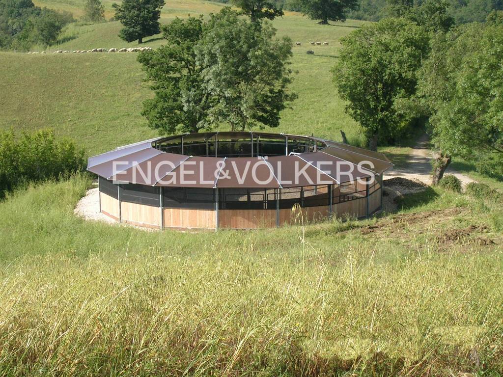 Villa a Manciano in Strada Regionale Maremmana - Foto 4