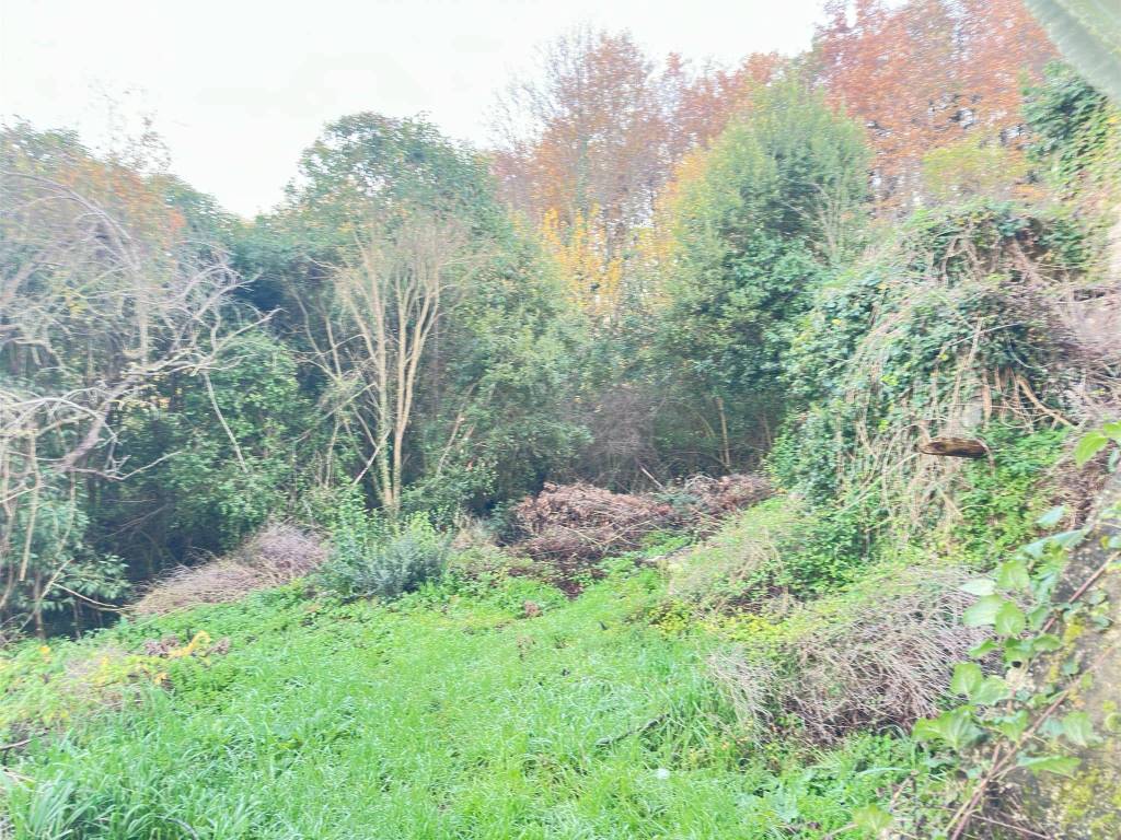 Terreno a Alvignano - Foto 2