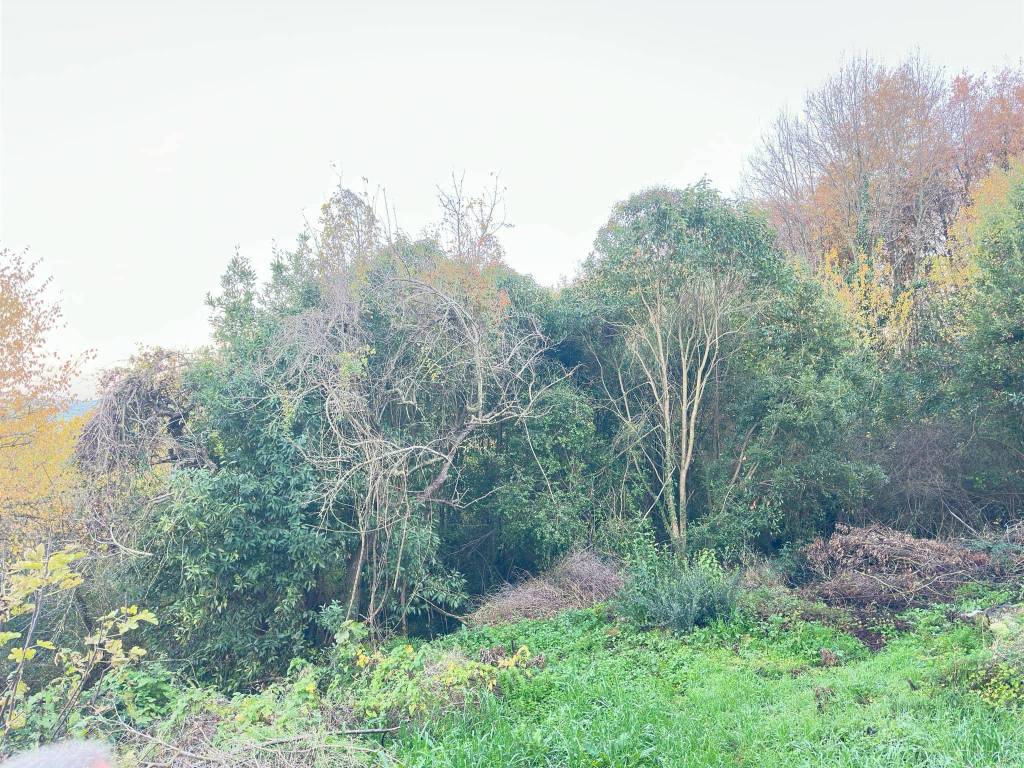 Terreno a Alvignano - Foto 3