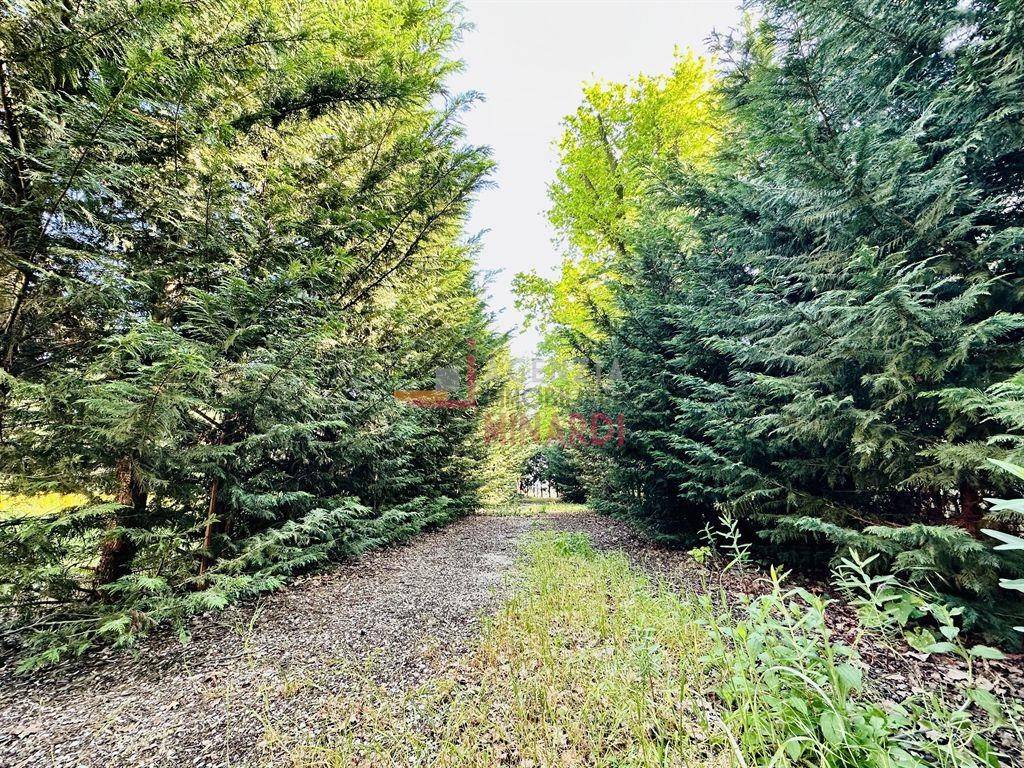 Rustico / casale a Russi in Via godo, 1 - Foto 5