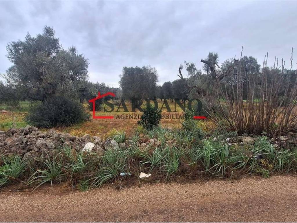 Rustico / casale a Carovigno - Foto 4