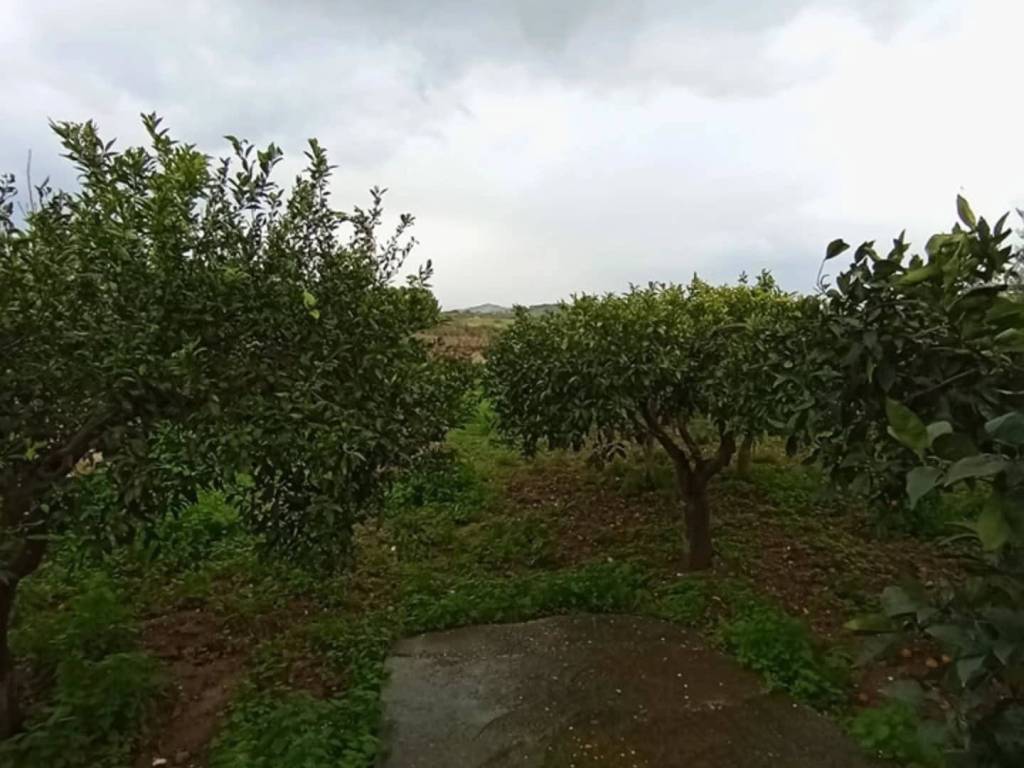 Casa indipendente a Trapani in Via Cusenza - Foto 5