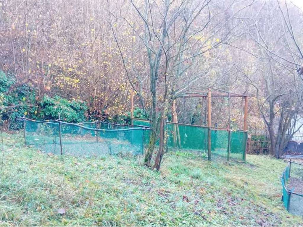 Casa indipendente a Torre mondovì - Foto 5