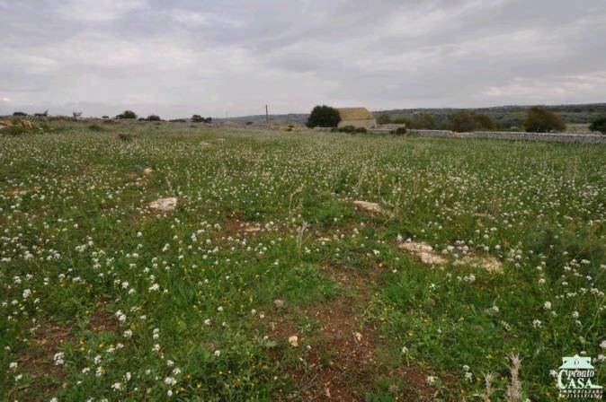 Terreno a Ragusa in SP60 - Foto 3