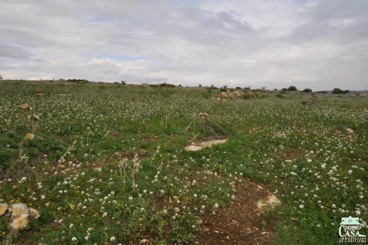 Terreno a Ragusa in SP60 - Foto 4