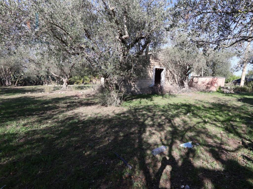 Terreno a Palagonia in c.da Costa snc - Foto 4