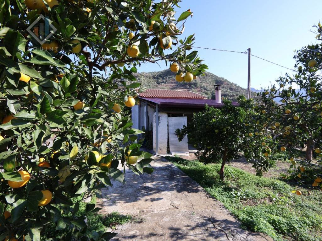 Terreno a Palagonia in c.da Falco snc - Foto 2