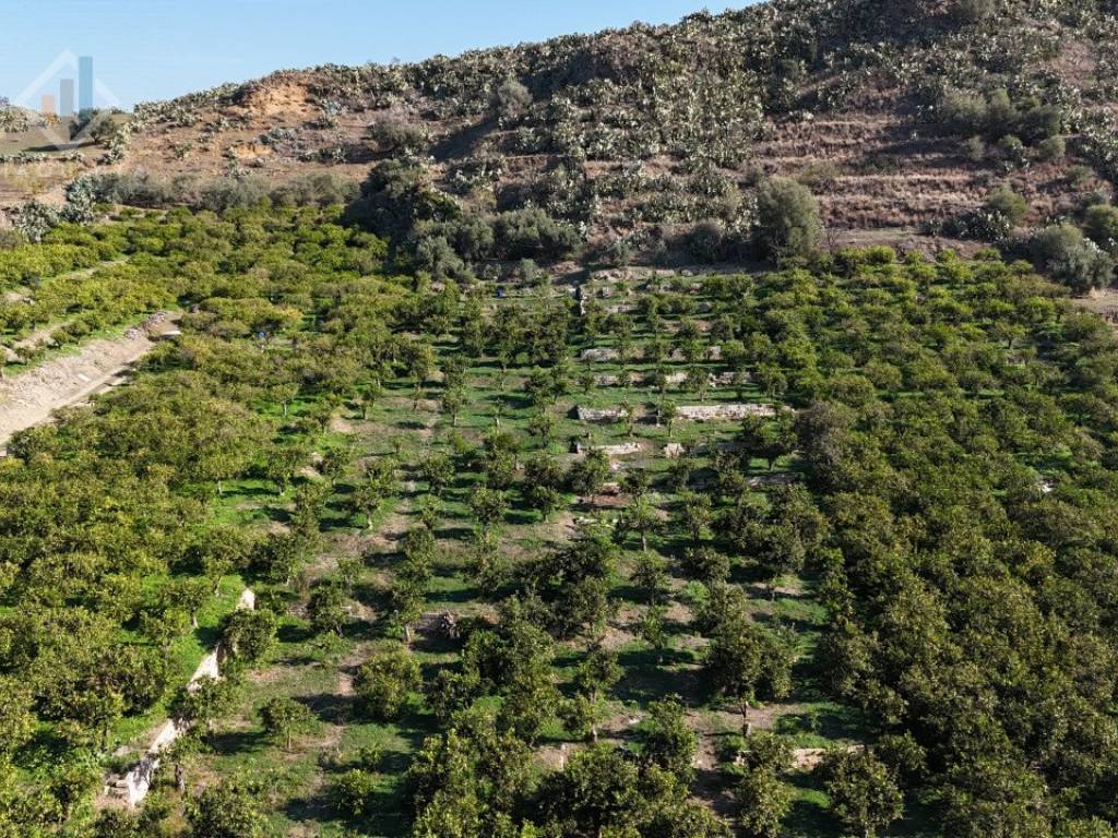 Terreno a Palagonia in c.da Falco snc - Foto 4