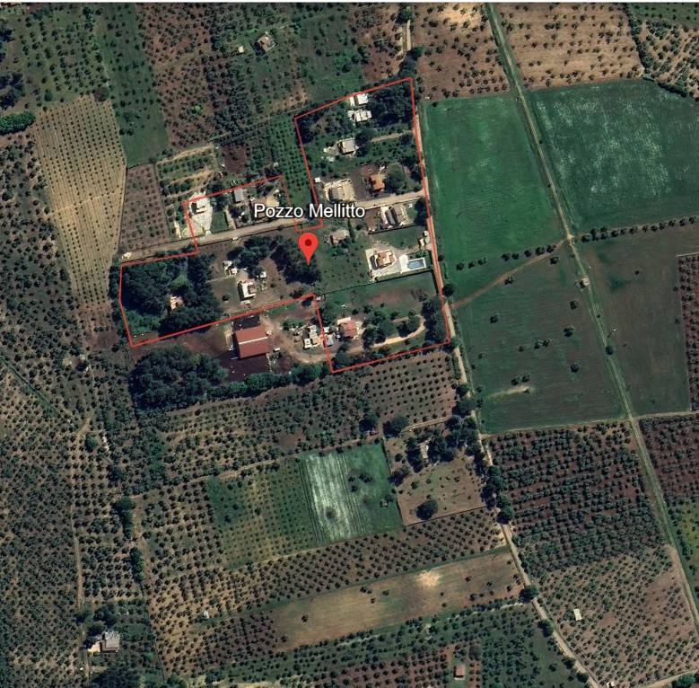 Villa a Grumo appula in C.da Pozzo Mellitto - Foto 3