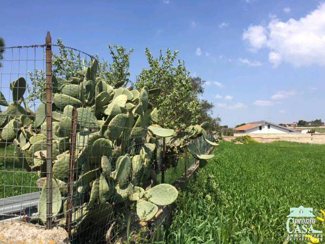 Terreno a Ragusa in via dei tulipani - Foto 3
