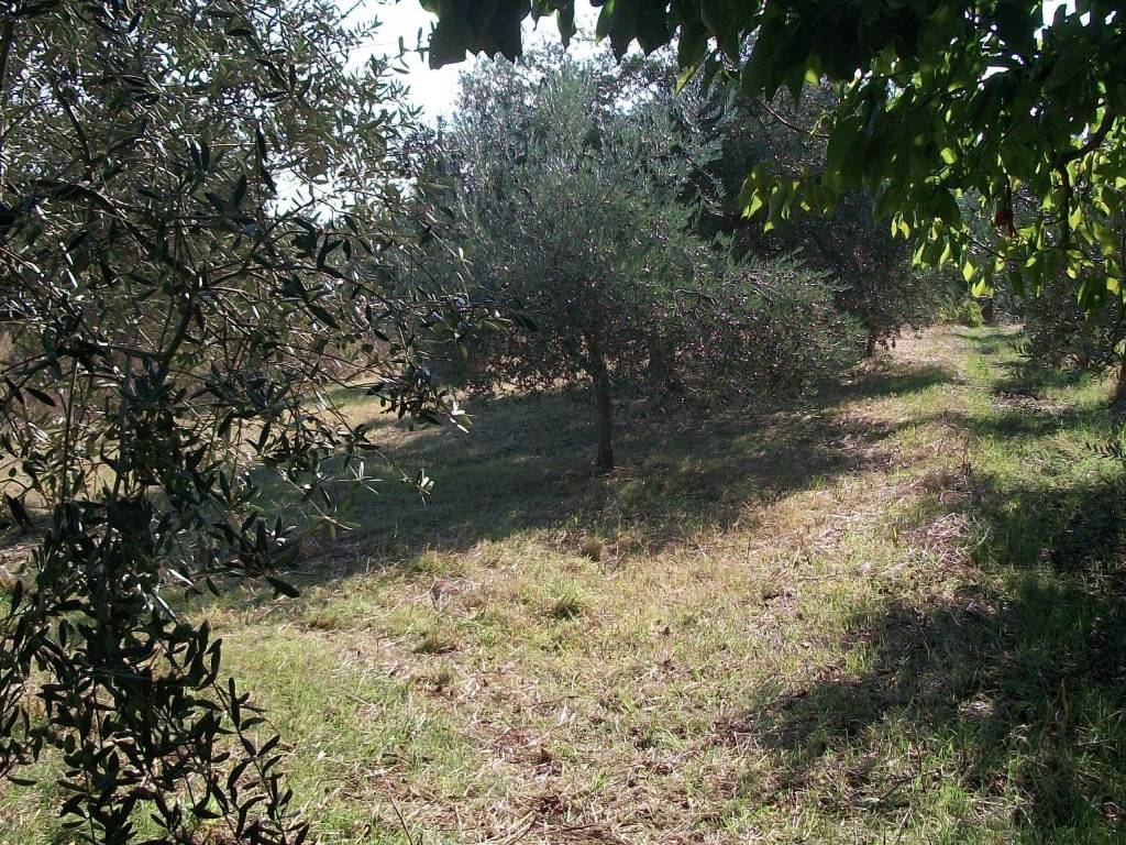 Rustico / casale a Lanciano in Contrada Villa Martelli - Foto 5