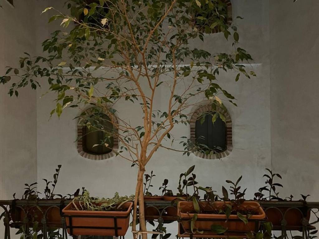 Appartamento a Potenza in Via Pretoria, 221 - Foto 2