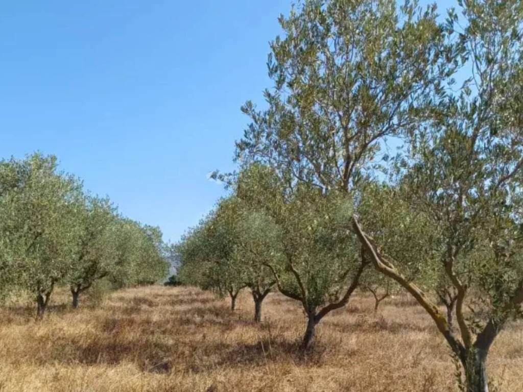 Rustico / casale a Onanì in Via S'Ena - Foto 3