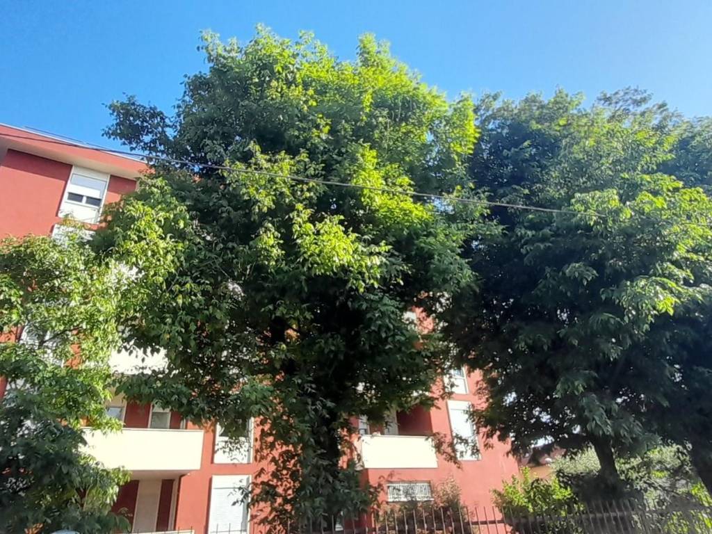 Appartamento a Brugherio in Piazza 4 Novembre, 12 - Foto 4