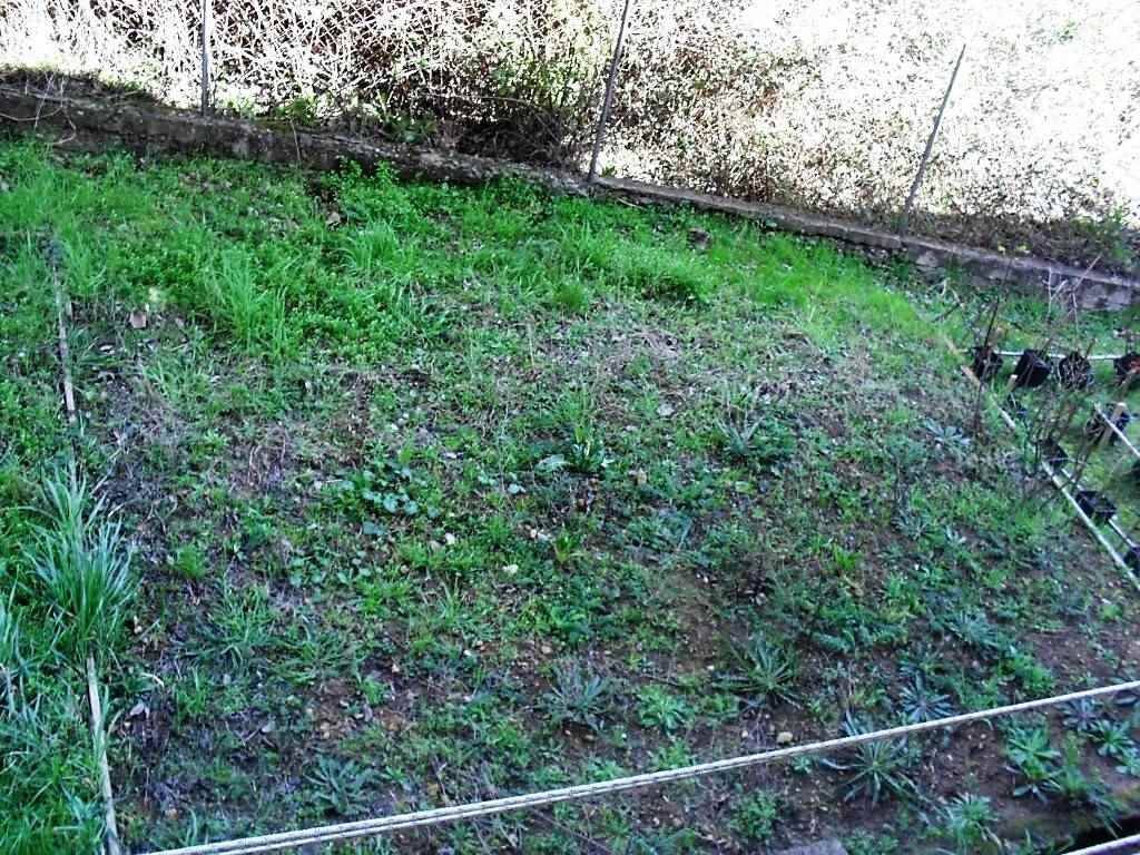 Appartamento a Scansano in P.za Garibaldi, 13 - Foto 4