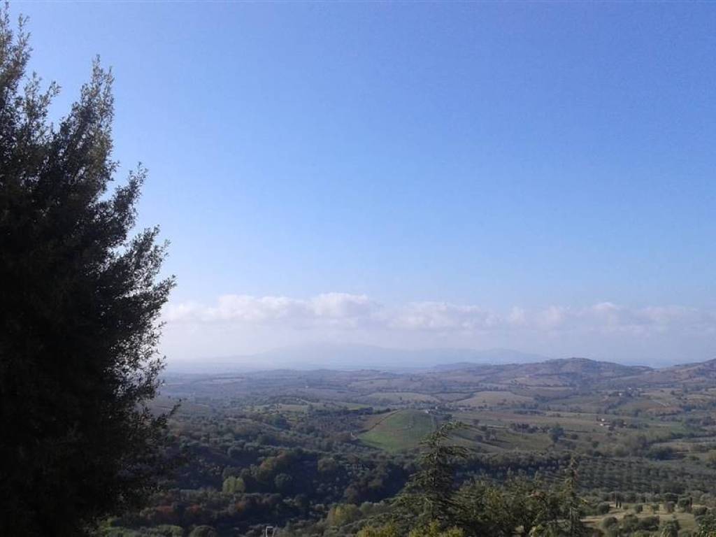 Appartamento a Magliano in toscana - Foto 3