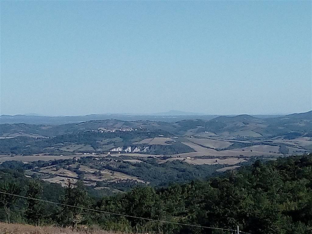 Rustico / casale a Scansano - Foto 5