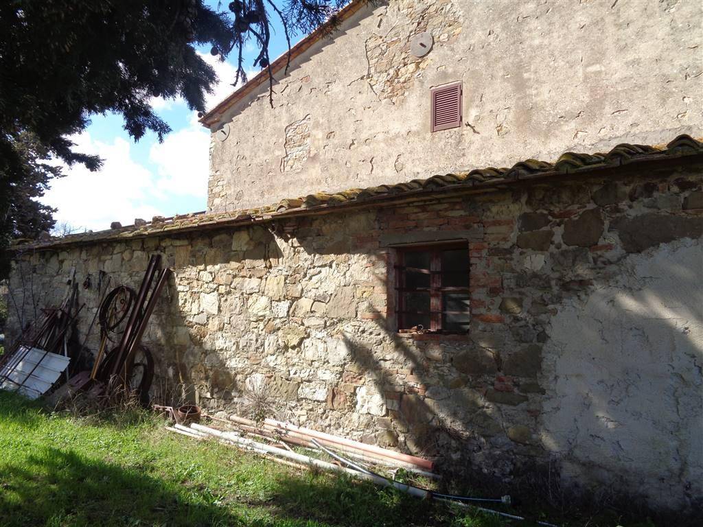 Rustico / casale a Scansano - Foto 5