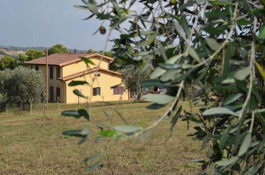 Rustico / casale a Magliano in toscana - Foto 5