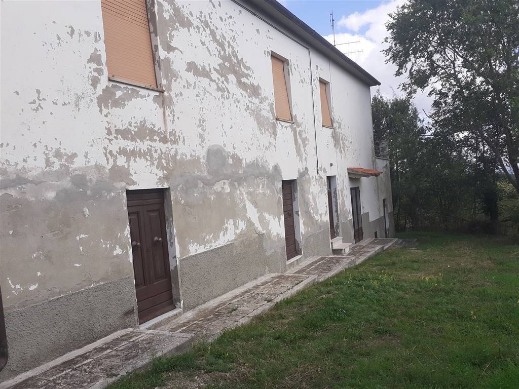 Rustico / casale a Scansano - Foto 2