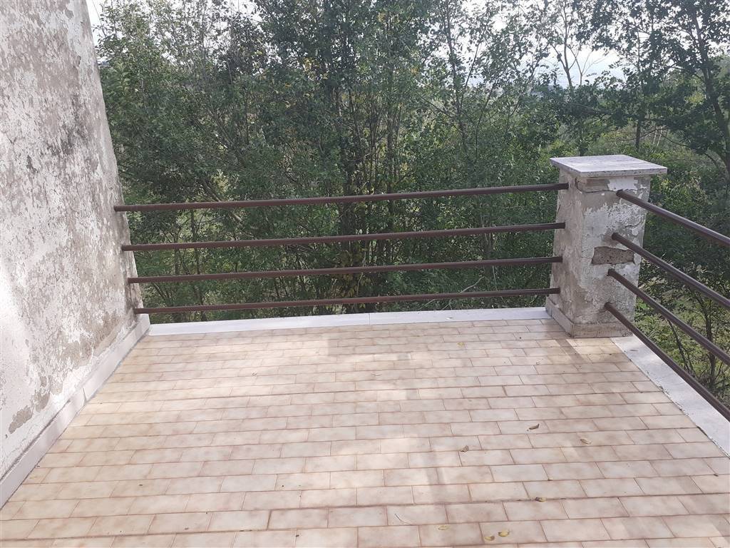 Rustico / casale a Scansano - Foto 5