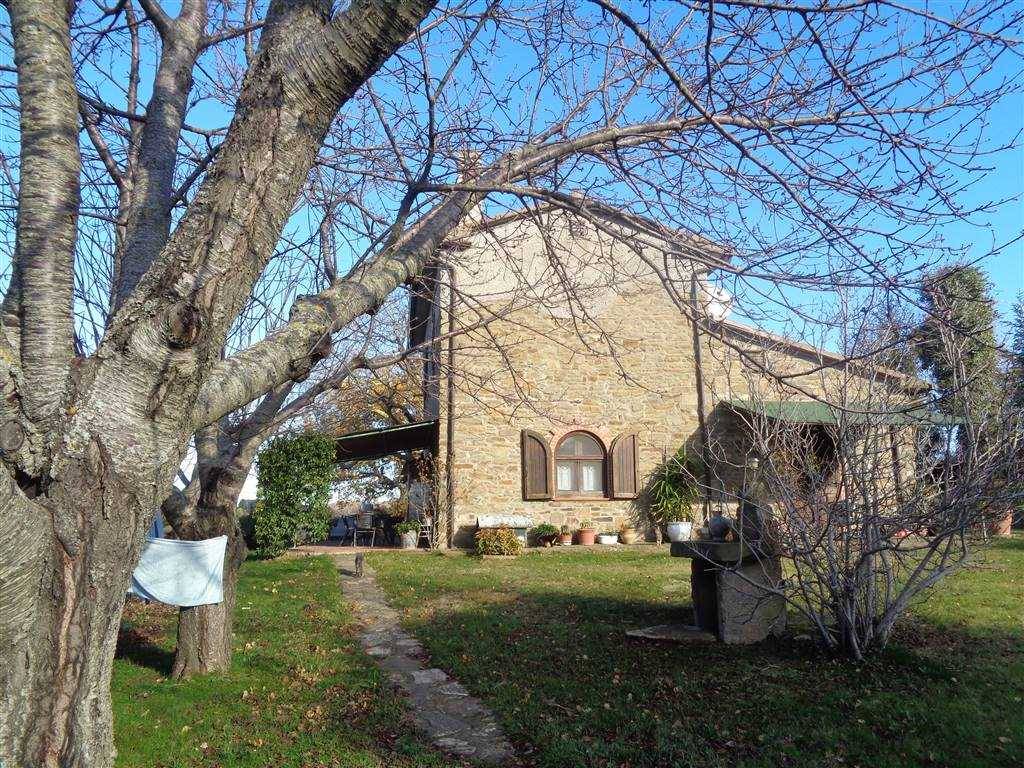 Rustico / casale a Scansano in sp 163, 200 - Foto 4