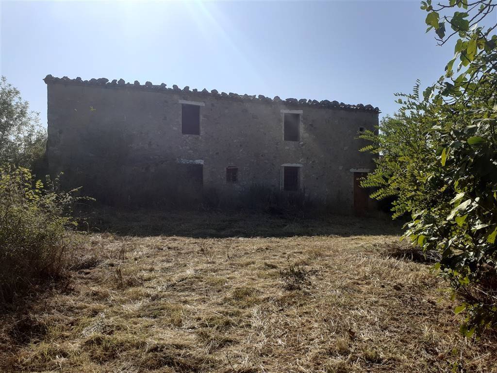 Rustico / casale a Scansano - Foto 2