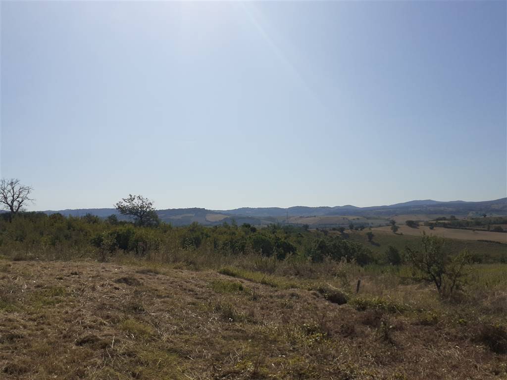 Rustico / casale a Scansano - Foto 3