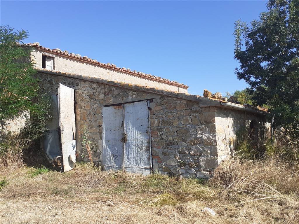 Rustico / casale a Scansano - Foto 4