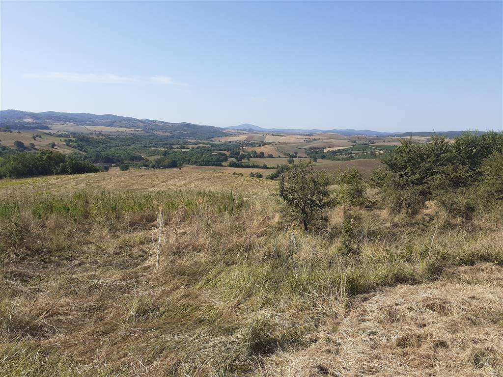 Rustico / casale a Scansano - Foto 5