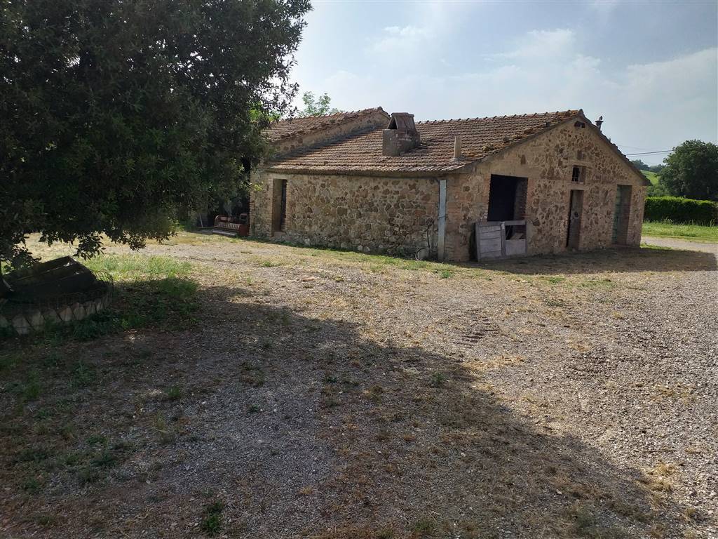 Rustico / casale a Civitella paganico - Foto 4