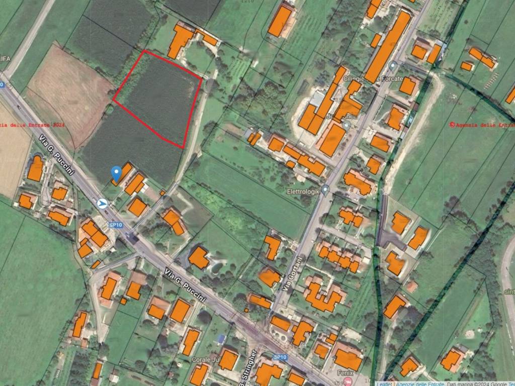 immagine di copertina