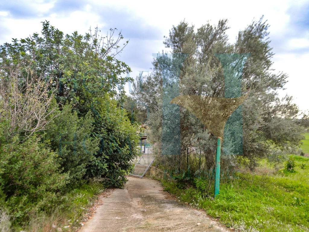 Rustico / casale a Noto - Foto 4