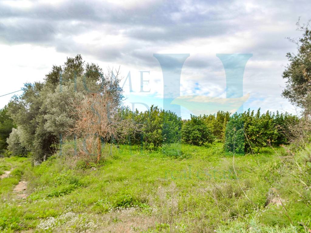 Rustico / casale a Noto - Foto 5