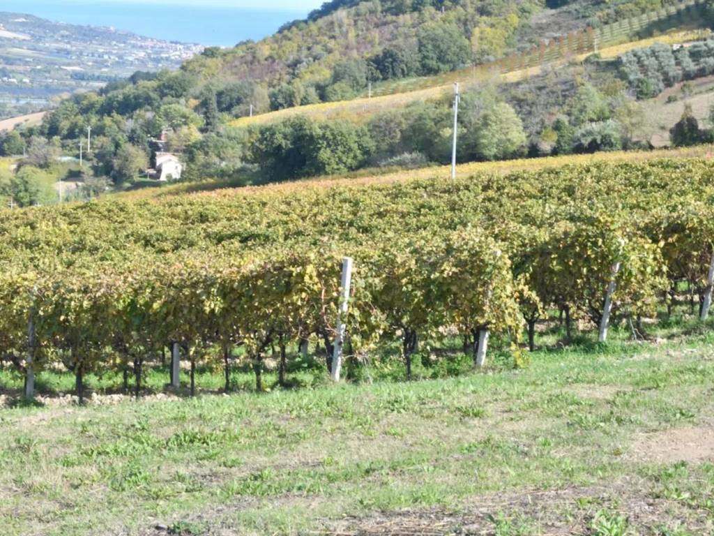 Terreno a Montefiore dell'aso in Via Roma S.N.C. - Foto 3