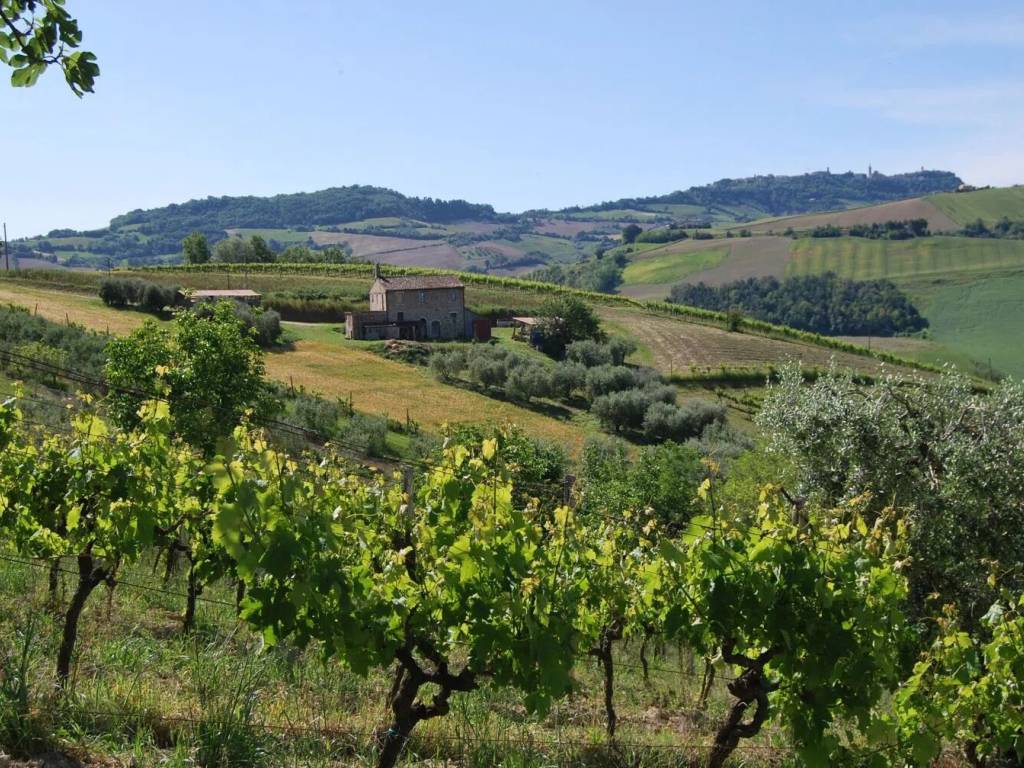 Rustico / casale a Montefiore dell'aso in Menocchia S.N.C. - Foto 3